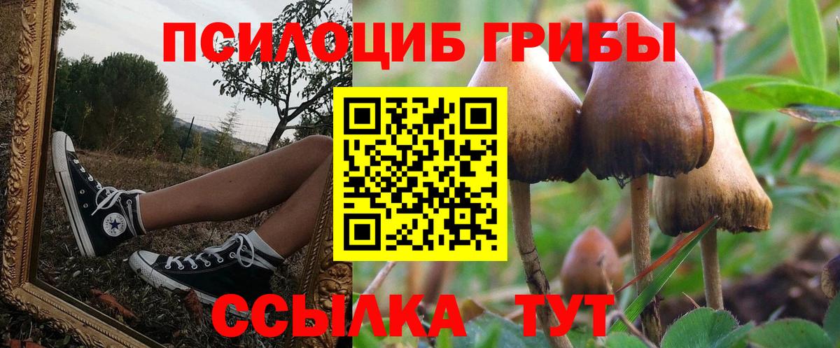 цена   Псилоцибиновые грибы Cubensis  Вход с VPN  Санкт-Петербург 