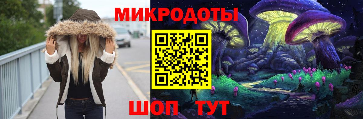 Псилоцибиновые грибы Psilocybine cubensis Санкт-Петербург